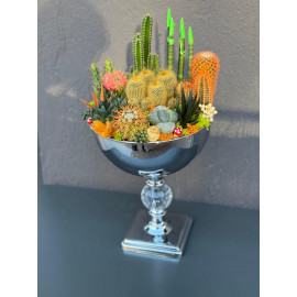 ÖZEL LÜX CANLI TERARYUM